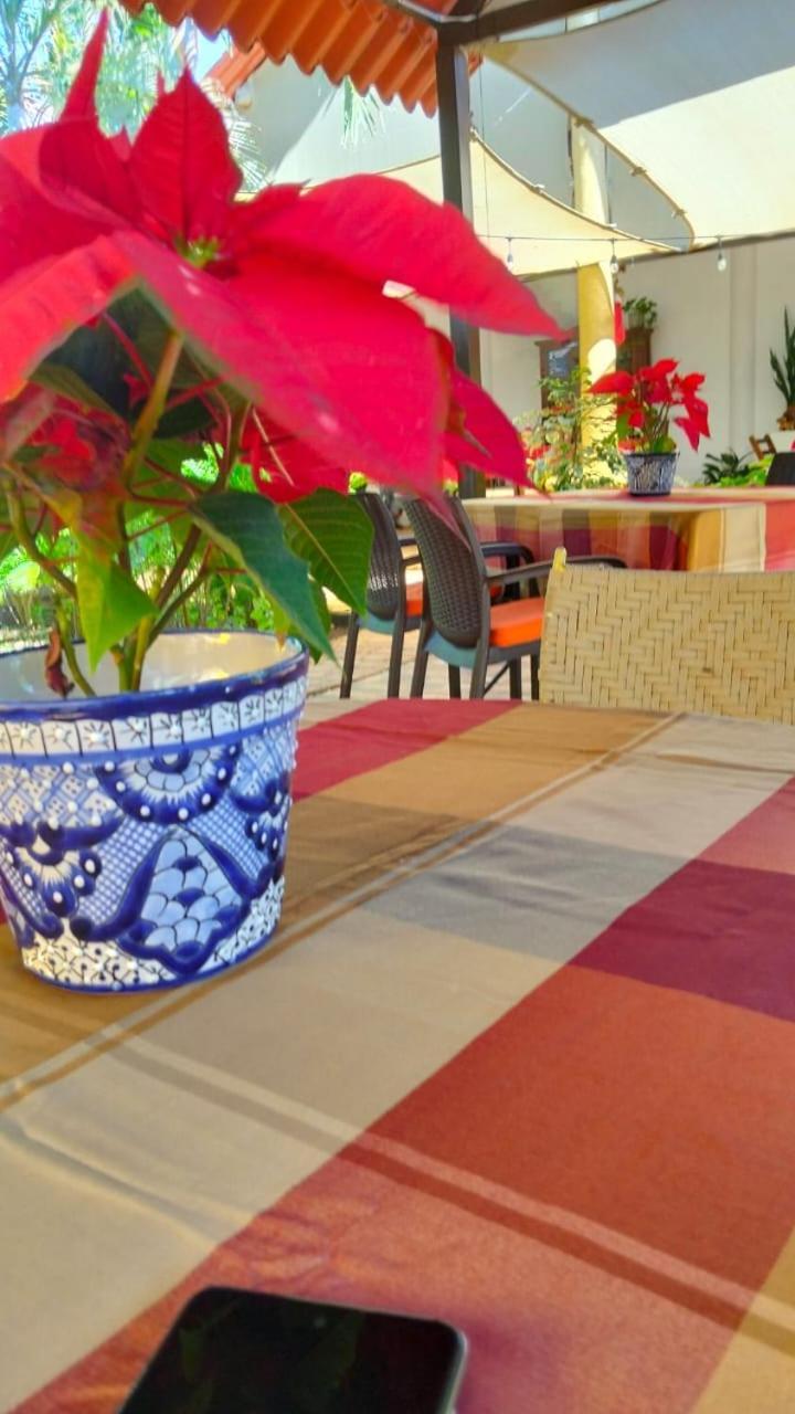 Quinta Rosita Bed & Breakfast Ticul Eksteriør bilde