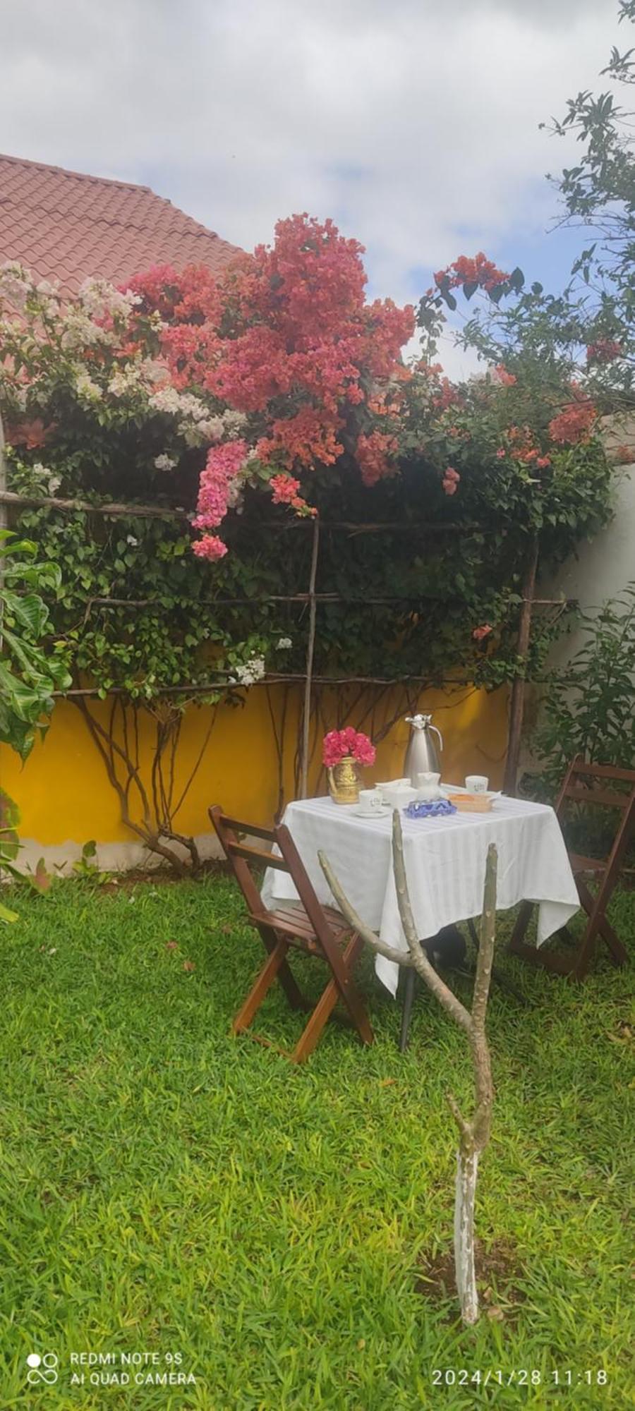 Quinta Rosita Bed & Breakfast Ticul Eksteriør bilde