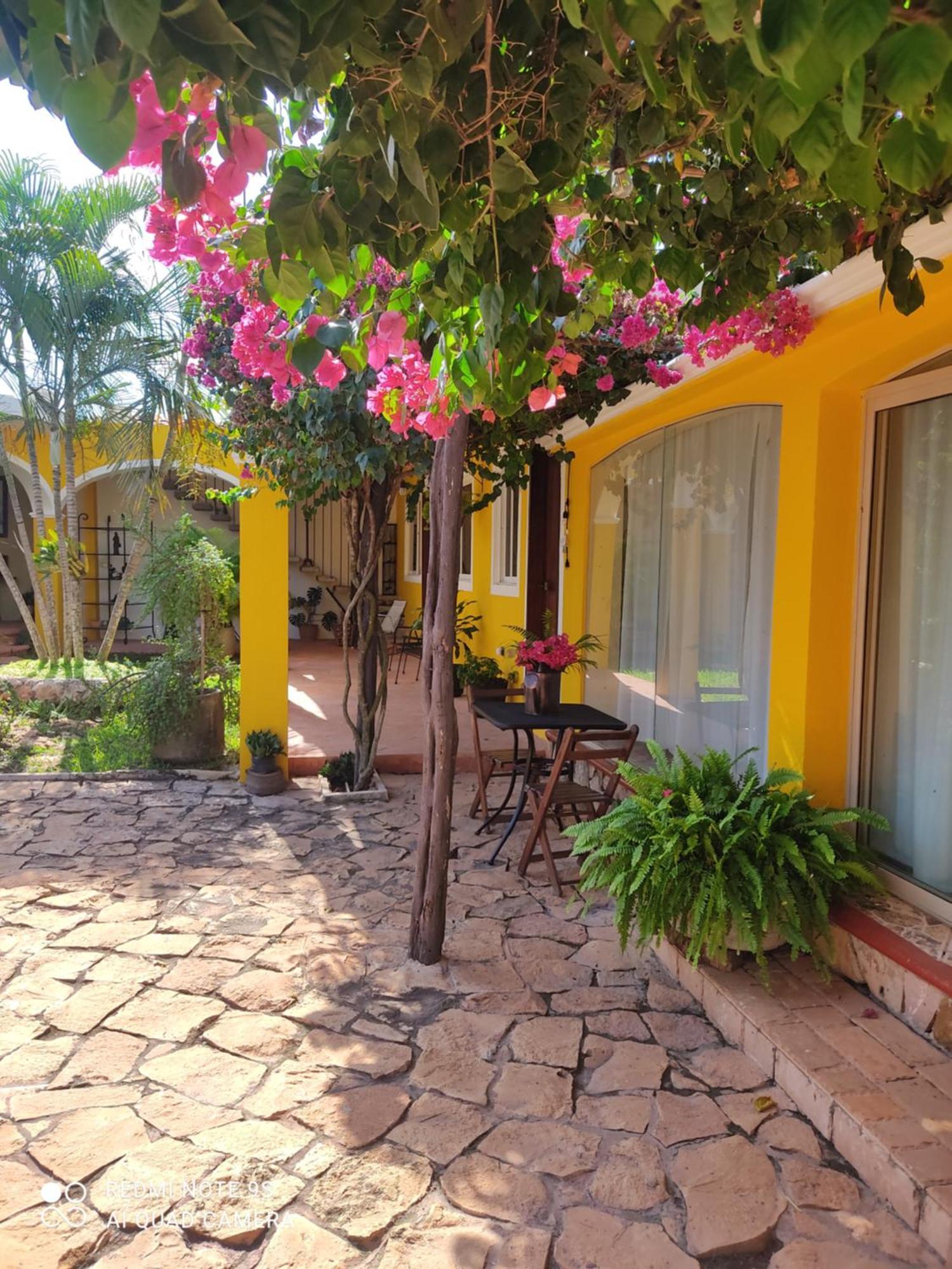 Quinta Rosita Bed & Breakfast Ticul Eksteriør bilde