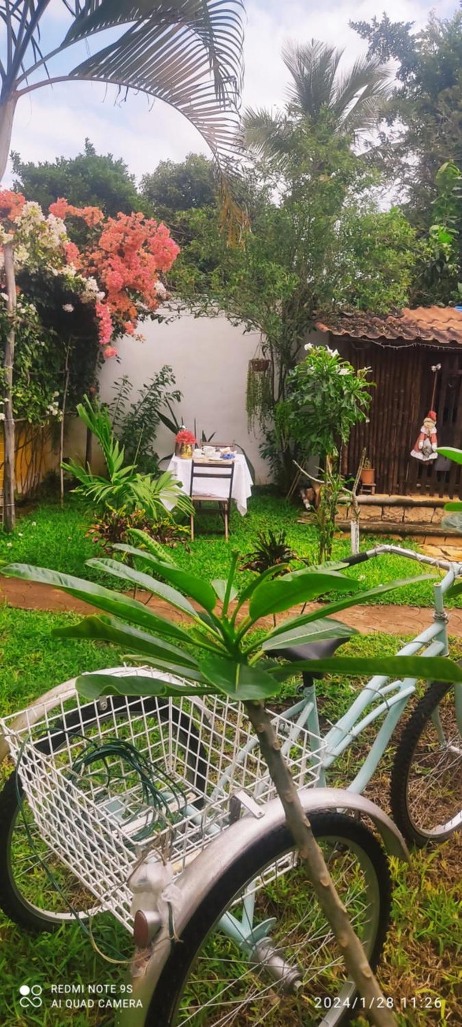 Quinta Rosita Bed & Breakfast Ticul Eksteriør bilde
