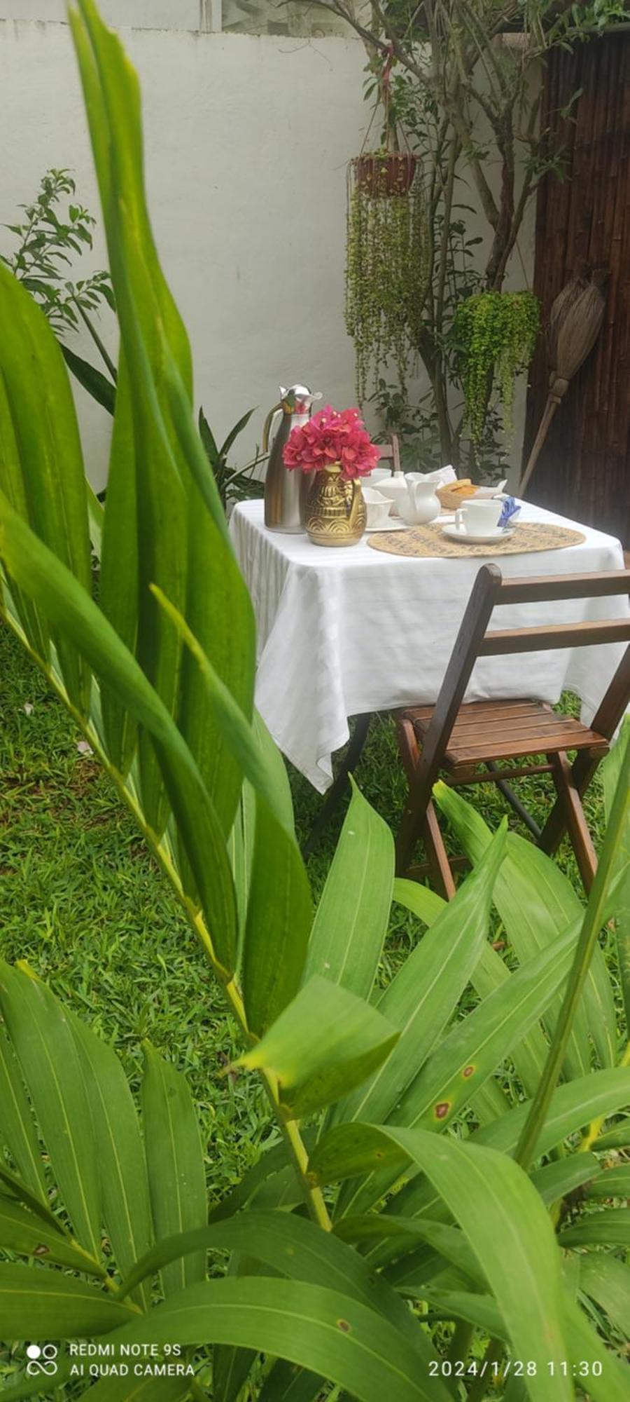 Quinta Rosita Bed & Breakfast Ticul Eksteriør bilde