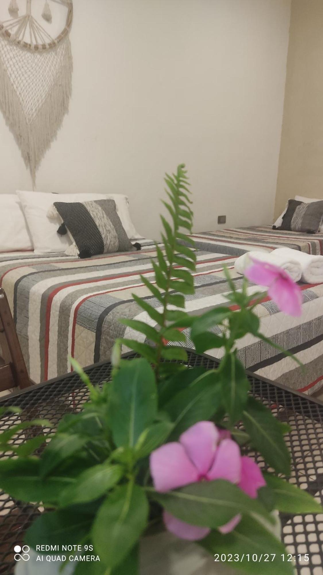 Quinta Rosita Bed & Breakfast Ticul Eksteriør bilde