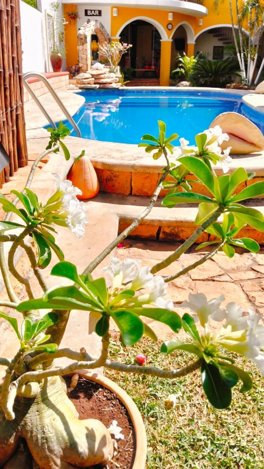 Quinta Rosita Bed & Breakfast Ticul Eksteriør bilde