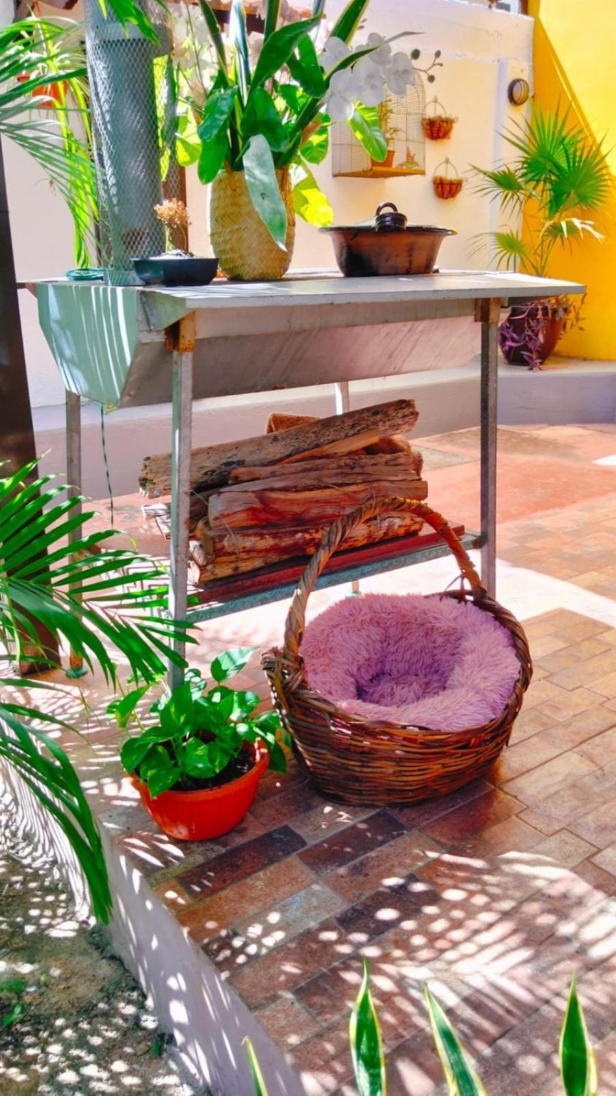 Quinta Rosita Bed & Breakfast Ticul Eksteriør bilde